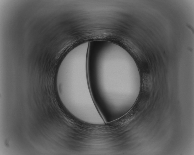 X0000098010501200803280734