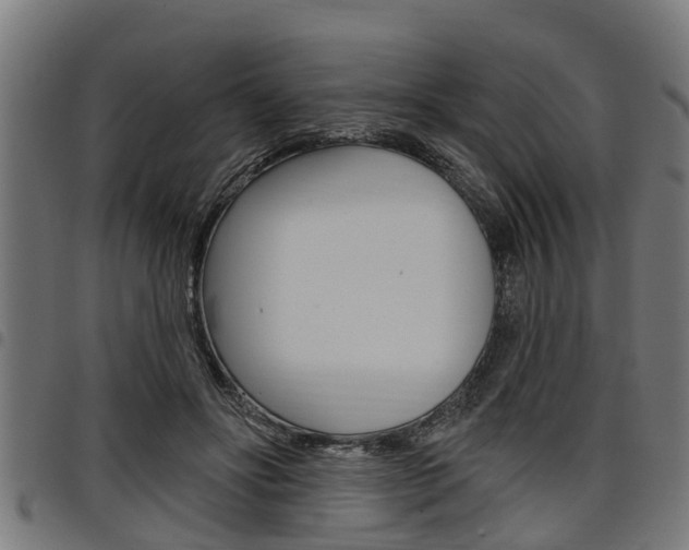 X0000098010502200803280734