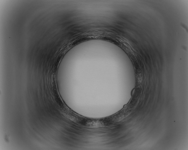 X0000098010503200803280734
