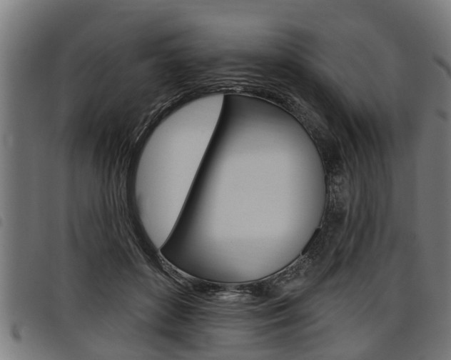 X0000098010504200803280733