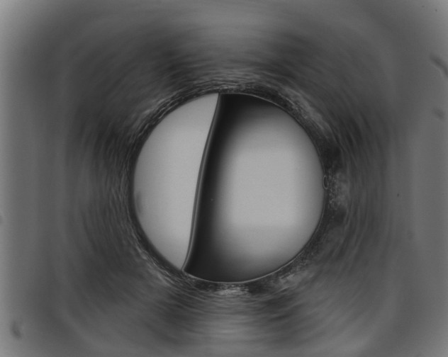 X0000098010505200803280733