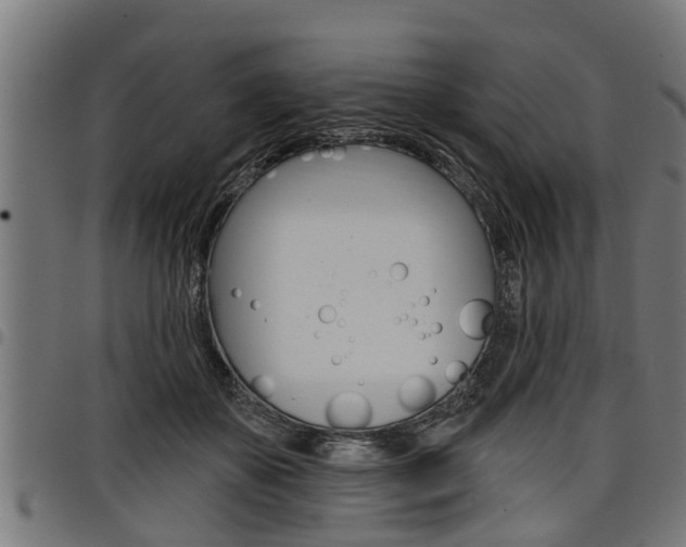 X0000098010507200803280733