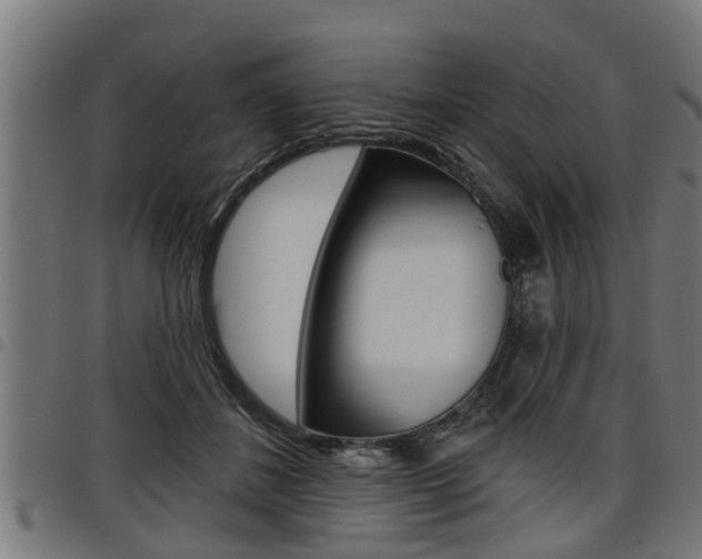 X0000098010508200803280733