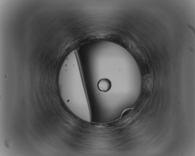 X0000098010509200803280733