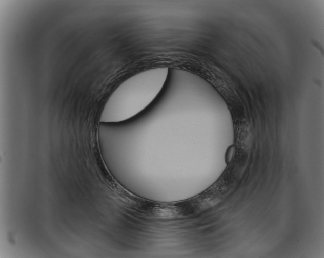 X0000098010510200803280733