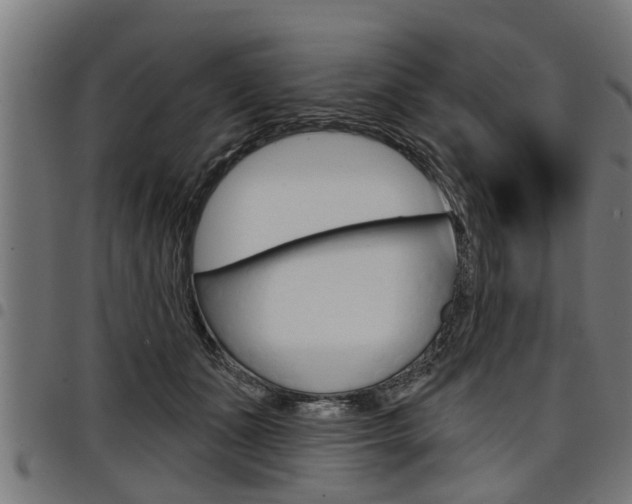 X0000098010511200803280733