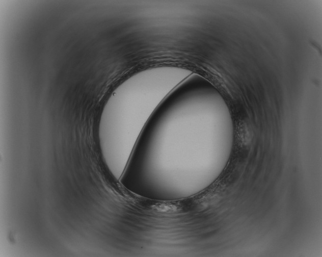 X0000098010512200803280733