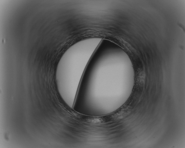 X0000098010513200803280733