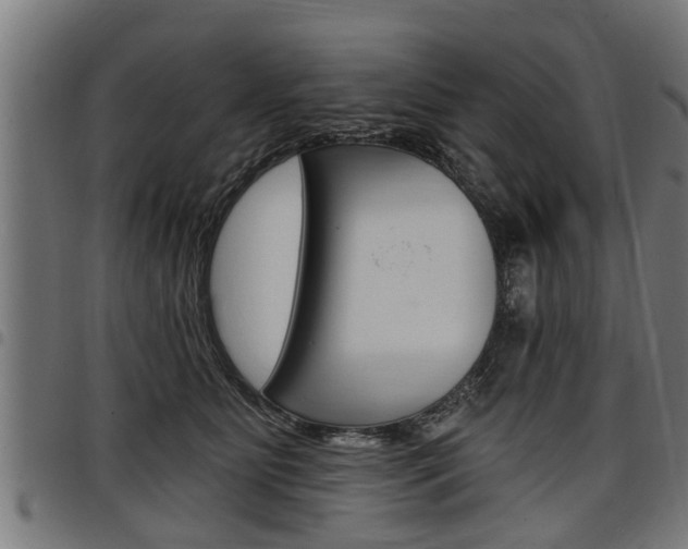 X0000098010515200803280733