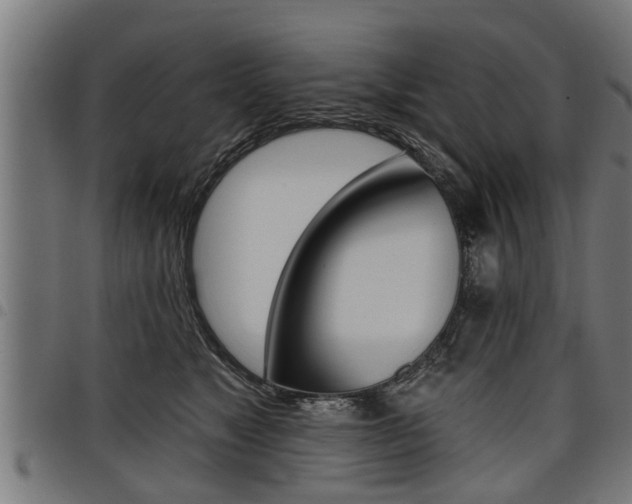 X0000098010517200803280733