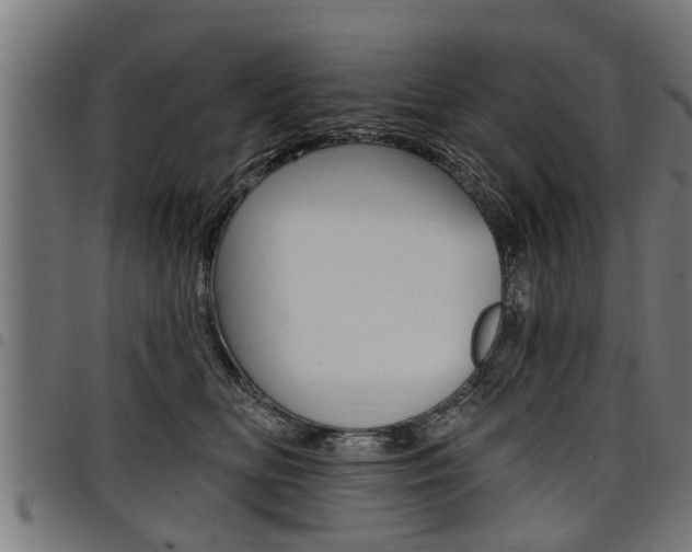 X0000098010518200803280733