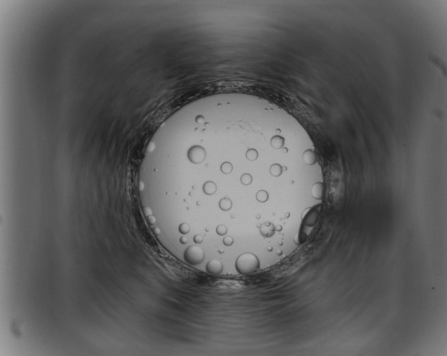 X0000098010519200803280733