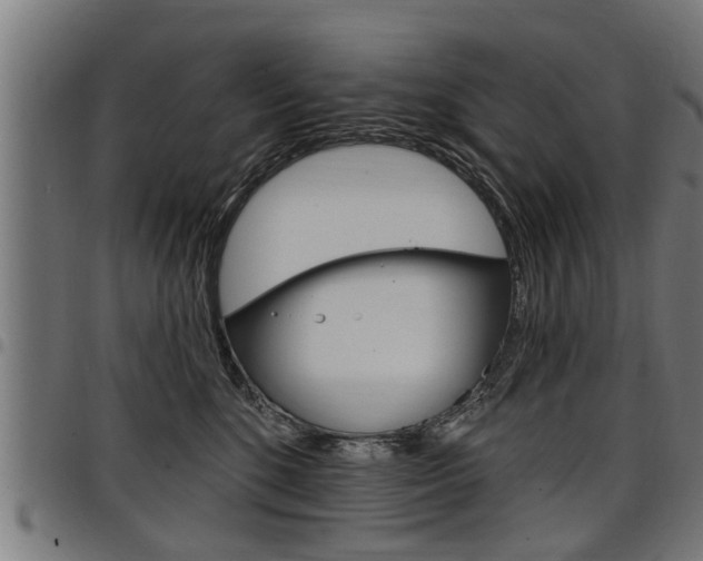 X0000098010520200803280733