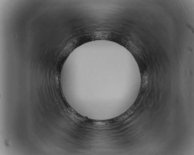 X0000098010522200803280733