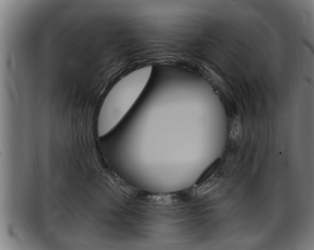 X0000098010524200803280733