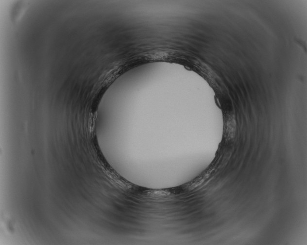 X0000098010525200803280733