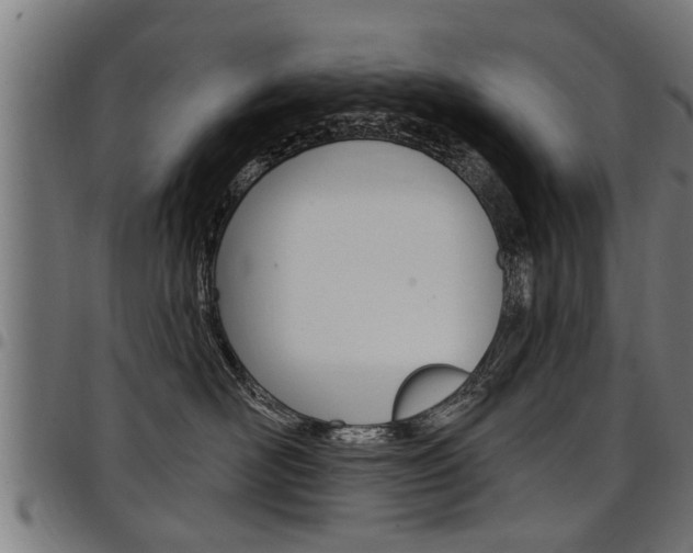 X0000098010526200803280733