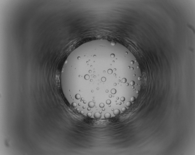 X0000098010527200803280733