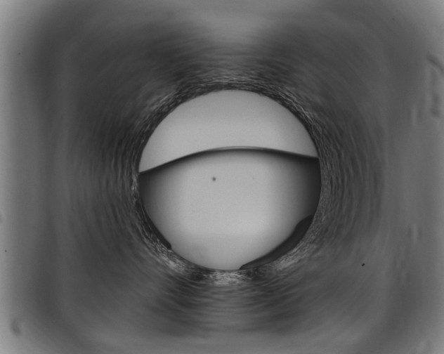 X0000098010528200803280733