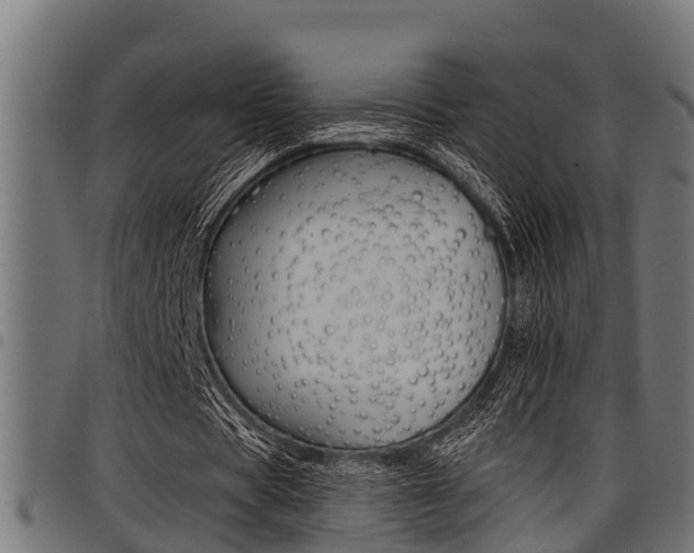 X0000098010529200803280732
