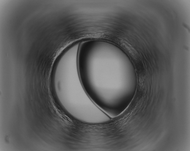 X0000098010532200803280732