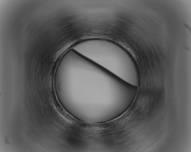 X0000098010533200803280732