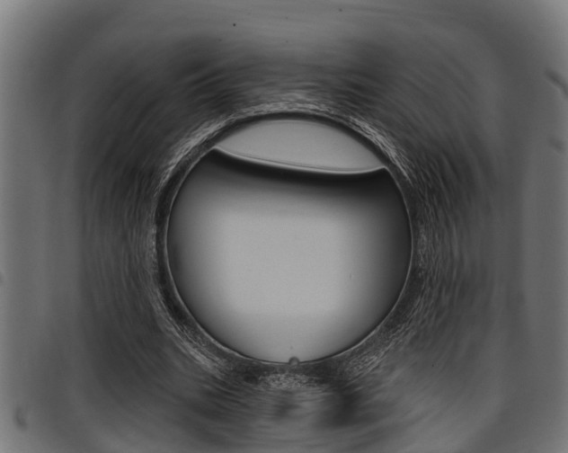 X0000098010535200803280732