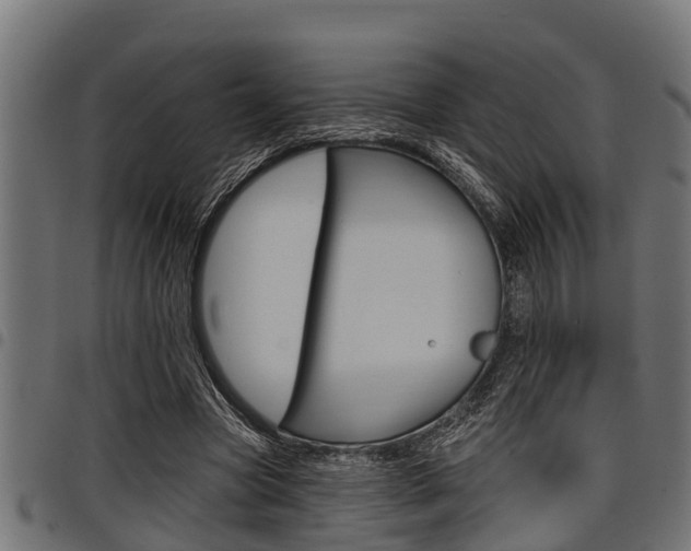 X0000098010537200803280732