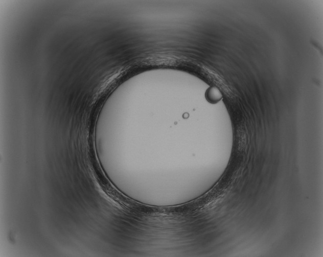 X0000098010538200803280732