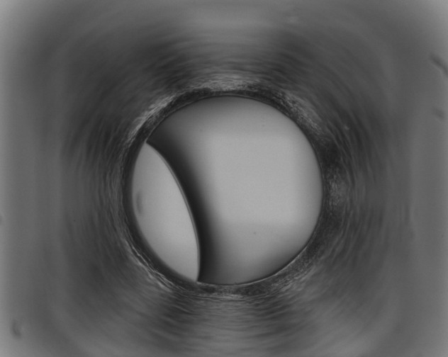 X0000098010539200803280732
