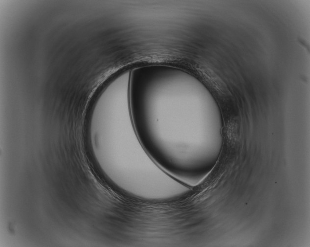 X0000098010540200803280732