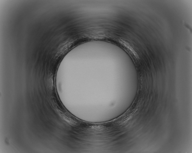 X0000098010541200803280733