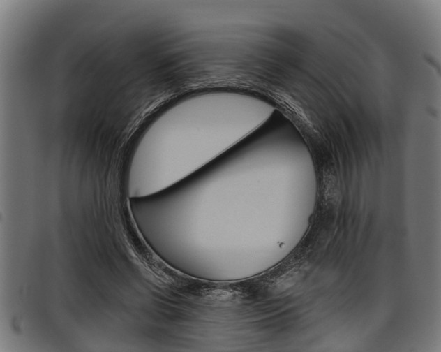 X0000098010542200803280733