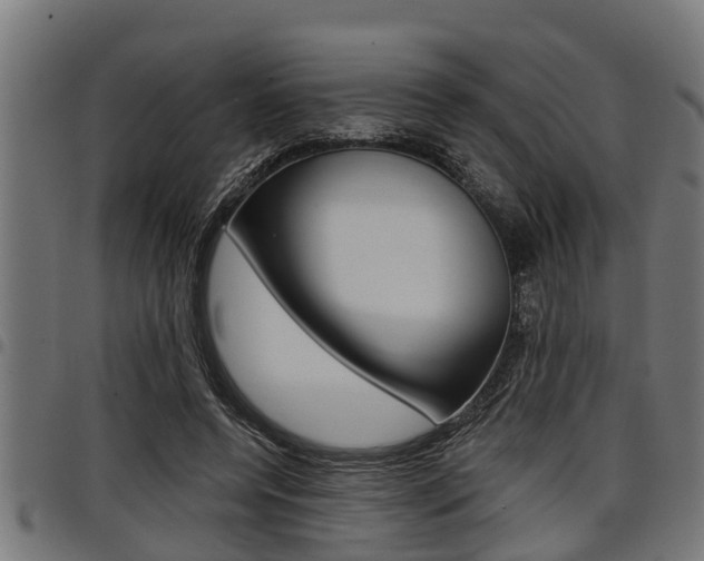 X0000098010544200803280733