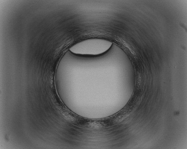 X0000098010545200803280733