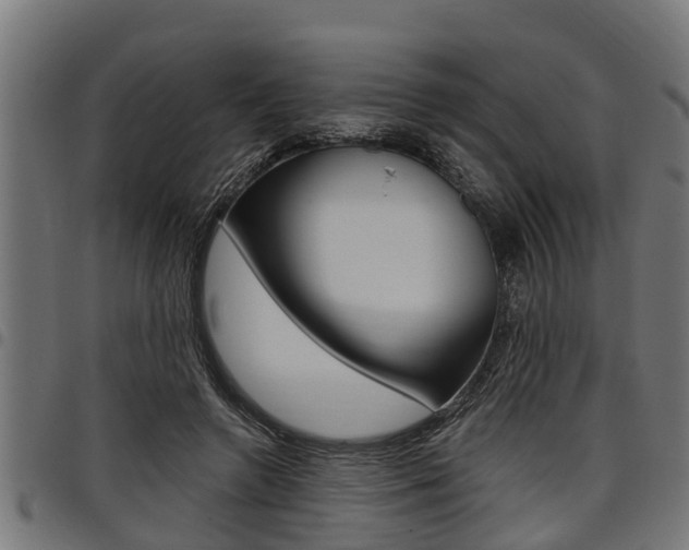 X0000098010546200803280733