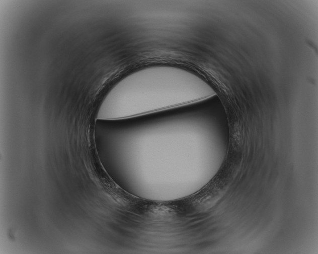 X0000098010547200803280733