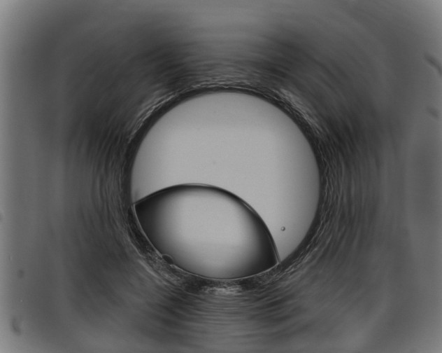 X0000098010548200803280733
