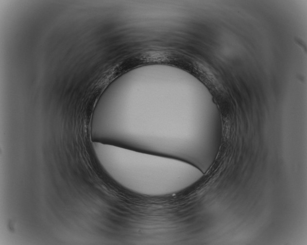 X0000098010549200803280733