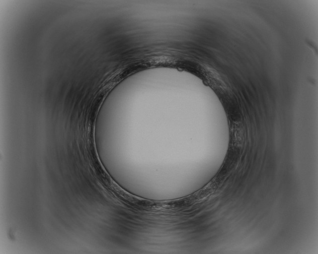 X0000098010550200803280733