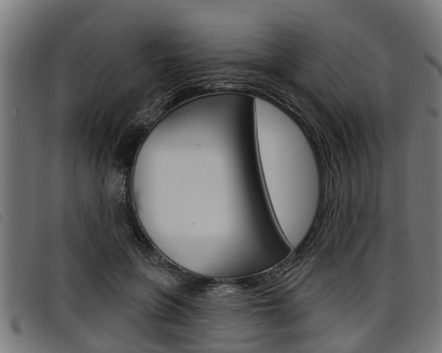 X0000098010551200803280733