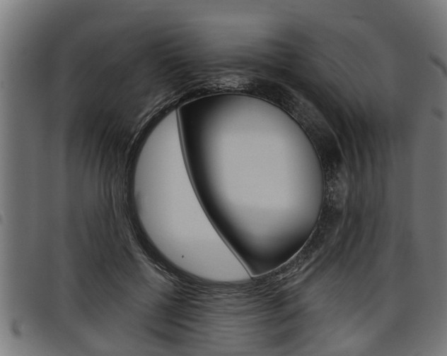 X0000098010552200803280733