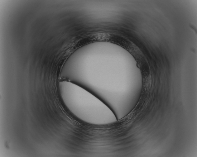 X0000098010553200803280733