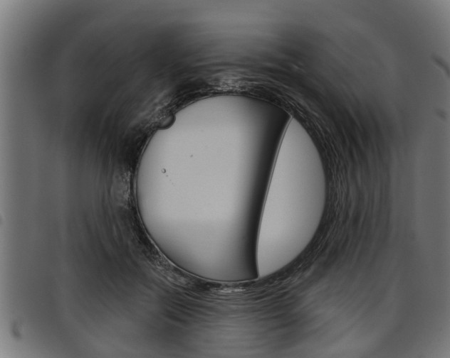 X0000098010554200803280733