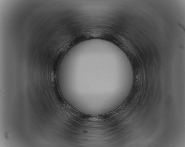 X0000098010555200803280733