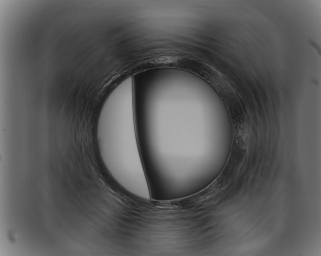 X0000098010556200803280733