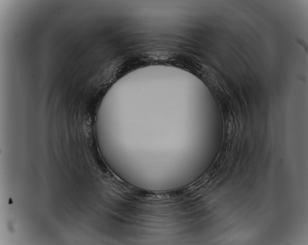 X0000098010559200803280733