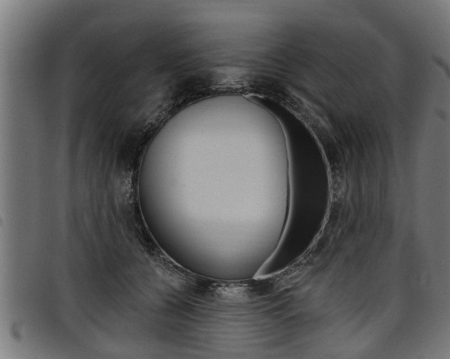 X0000098010560200803280733