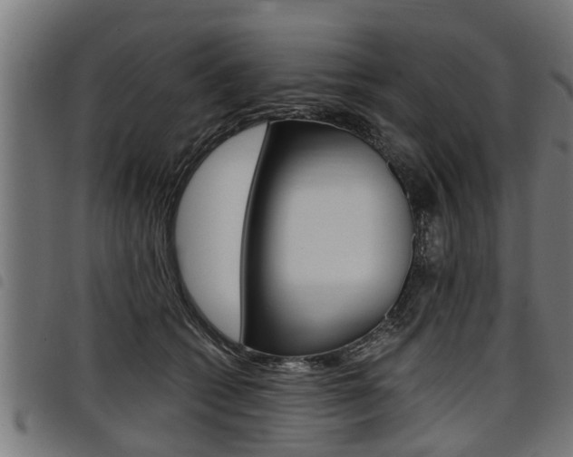 X0000098010562200803280733