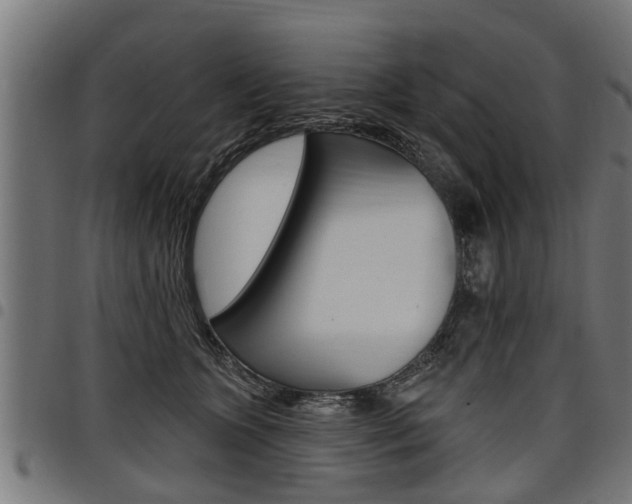 X0000098010563200803280733